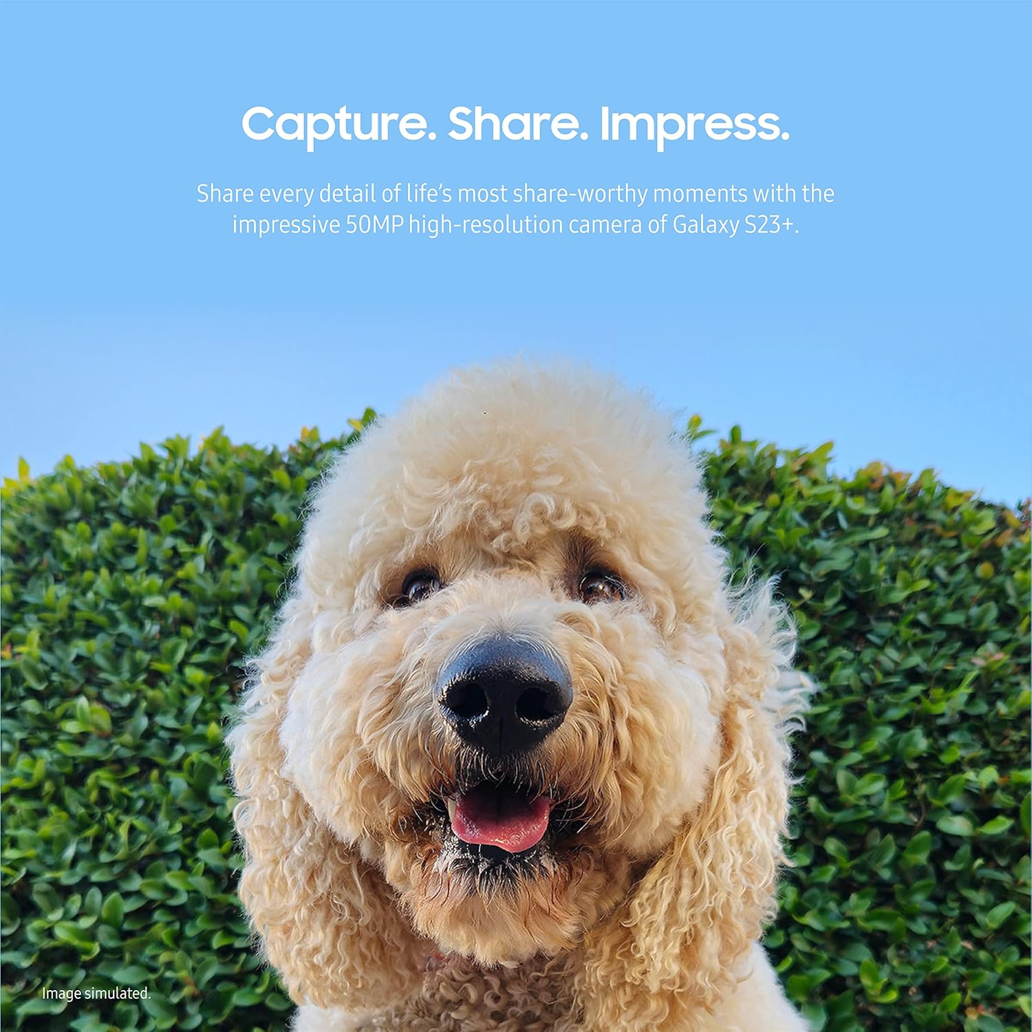 SAMSUNG Galaxy S23+ Series AI Phone, Unlocked Android Smartphone, 256GB Storage, 8GB RAM, 50MP Camera, Night Mode, Long Battery Life, Adaptive Display, US Version, 2023, Green - 图片 7